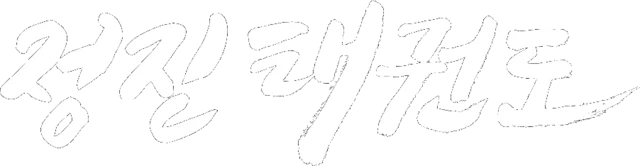 정진태권도